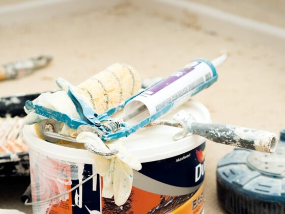 pexels bidvine 2293819