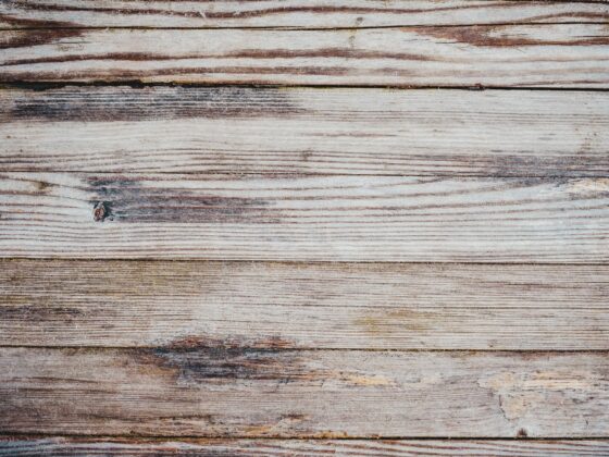 unsplash image XFCei F4mjg