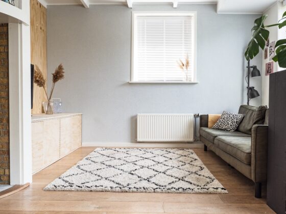 unsplash image 2v kOwtpxpE